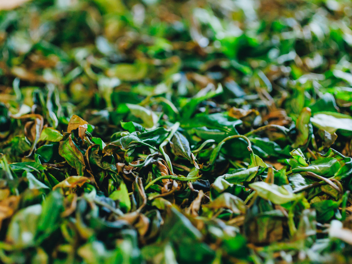 The Basilur Handmade Tea Collection – Basilur Tea