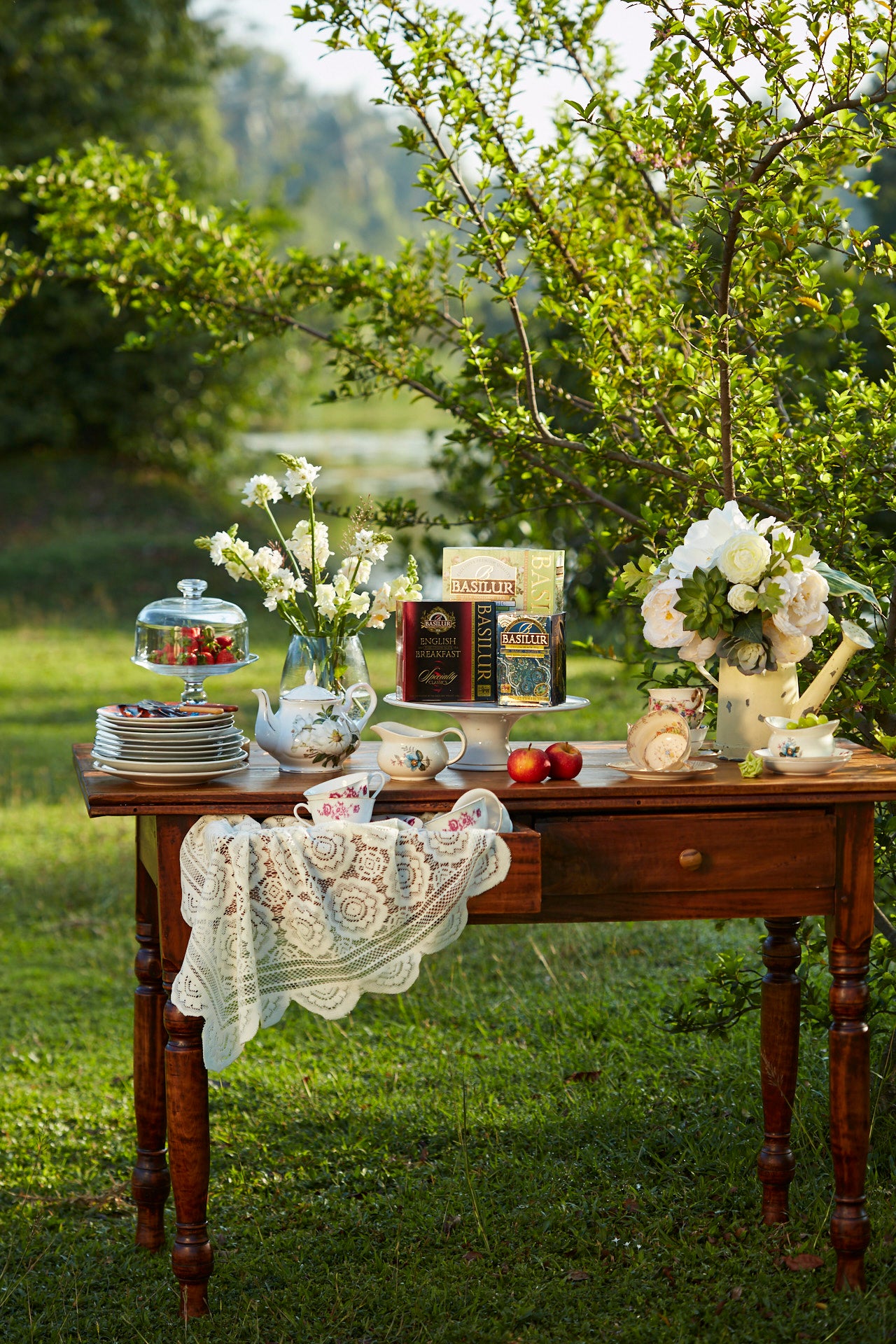 Guide to the Best Teas for Spring – Basilur Tea